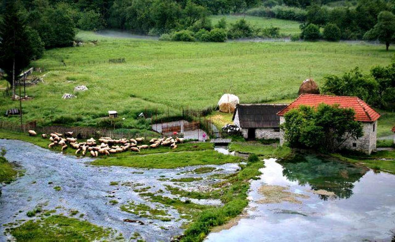Hotel Rosi Gusinje Zewnętrze zdjęcie