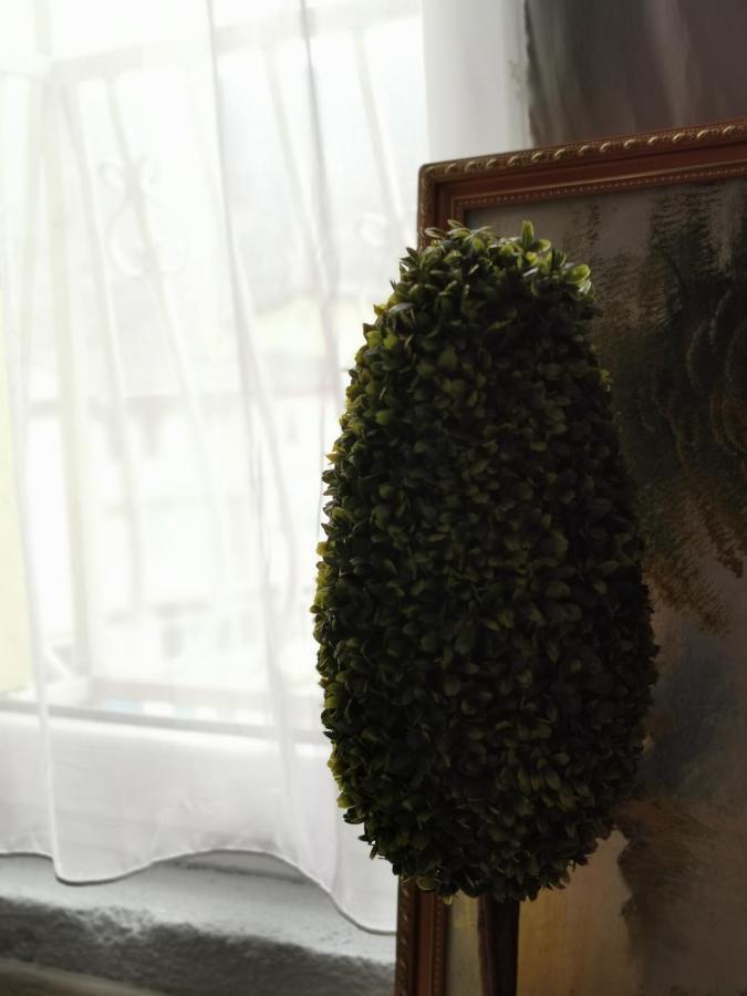 Hotel Rosi Gusinje Zewnętrze zdjęcie